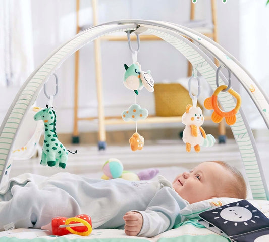 LUPANTTE educational mat