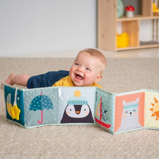 TAF TOYS libro a contrasto bifacciale SPECCHIO MASSAGGIAGENGIVE TESTURE e altro