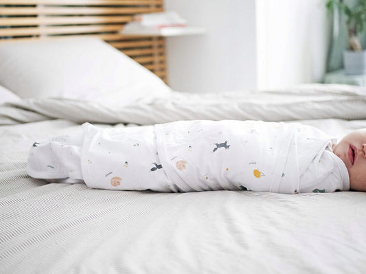 RED CASTLE пелена-спален чувал 0-3 msc Happy Fox