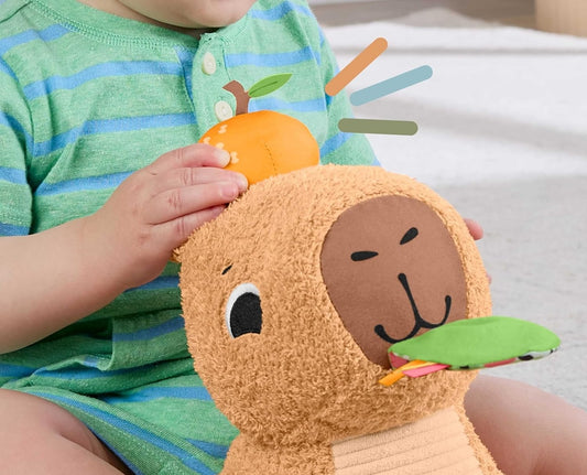 FISHER-PRICE Plüsch-Sensory-Wasserschwein mit Beißring und Rassel 23,5 cm