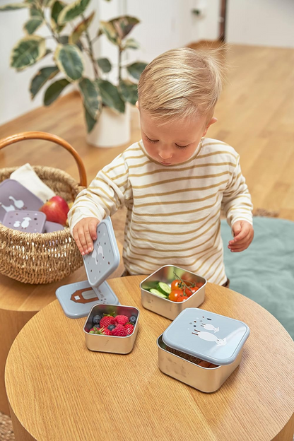 LASSIG Snackbox oceľové KRABIČKY NA OBČERSTVENIE x3