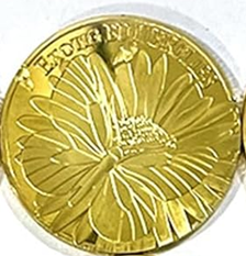 BRADOC Zúbková víla pozlátená kovová minca pod vankúš 4 cm MOTÝĽ
