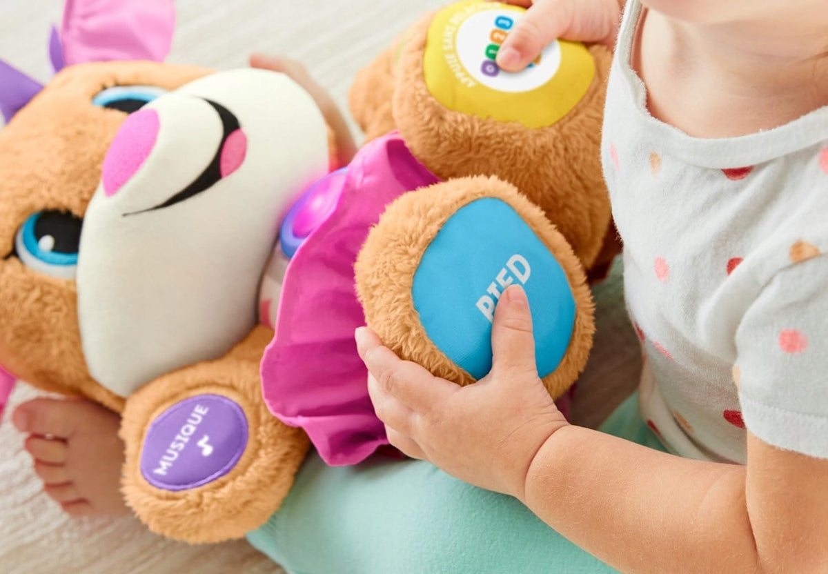 FISHER-PRICE FPP52 sestra šteniatka školáčky francúzsky jazyk