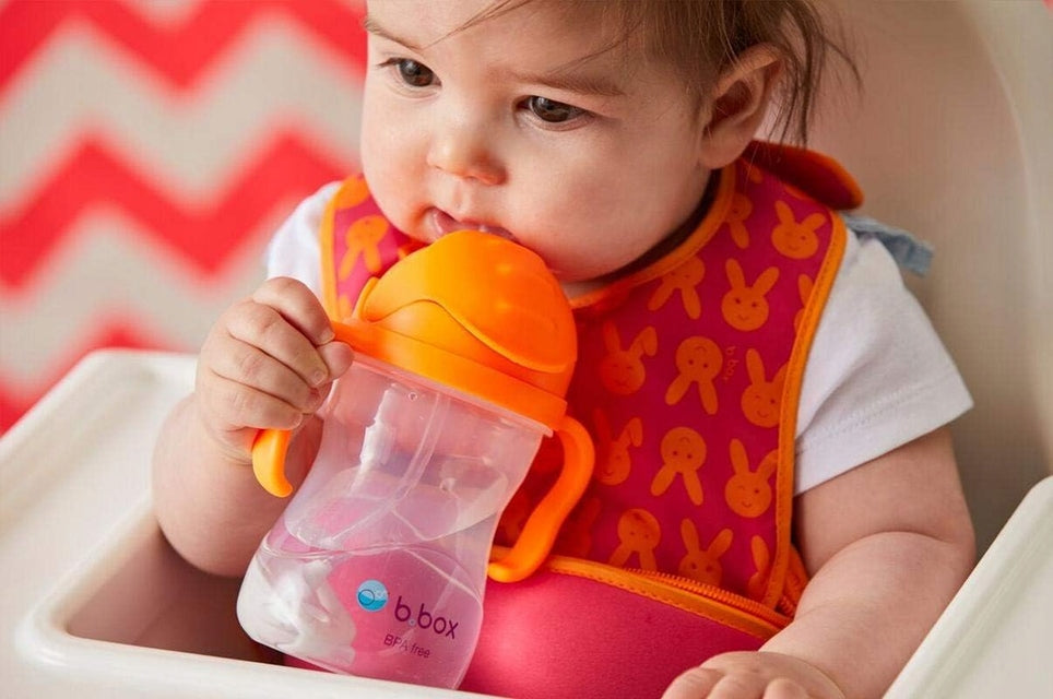 B.BOX Sippy Cup netečúci pohár 240 ml 6 m+