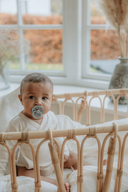 BIBS 2 round rubber pacifiers