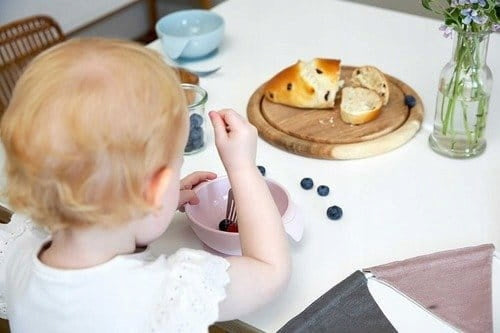 LASSIG Little Chums silikónový tanierik s prísavkou