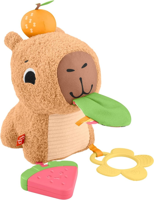 FISHER-PRICE Plüsch-Sensory-Wasserschwein mit Beißring und Rassel 23,5 cm