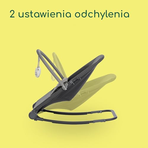 BEBECONFORT Aster bouncer recliner 0+ max. 12kg