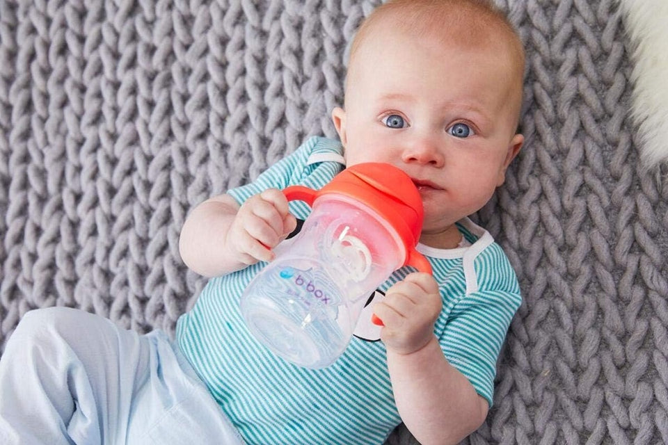 B.BOX Sippy Cup kubek niekapek