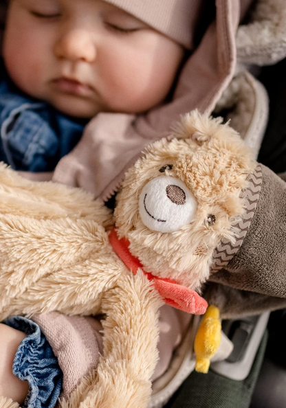 FEHN Urso Bruno comforter peluche manta 27 x 27 cm