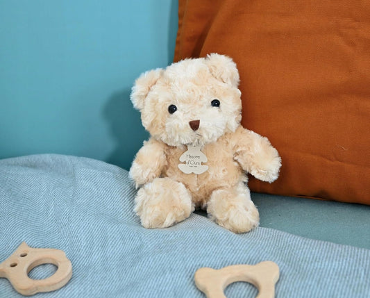 HISTOIRE de'OURS plyšový medvěd 21 cm